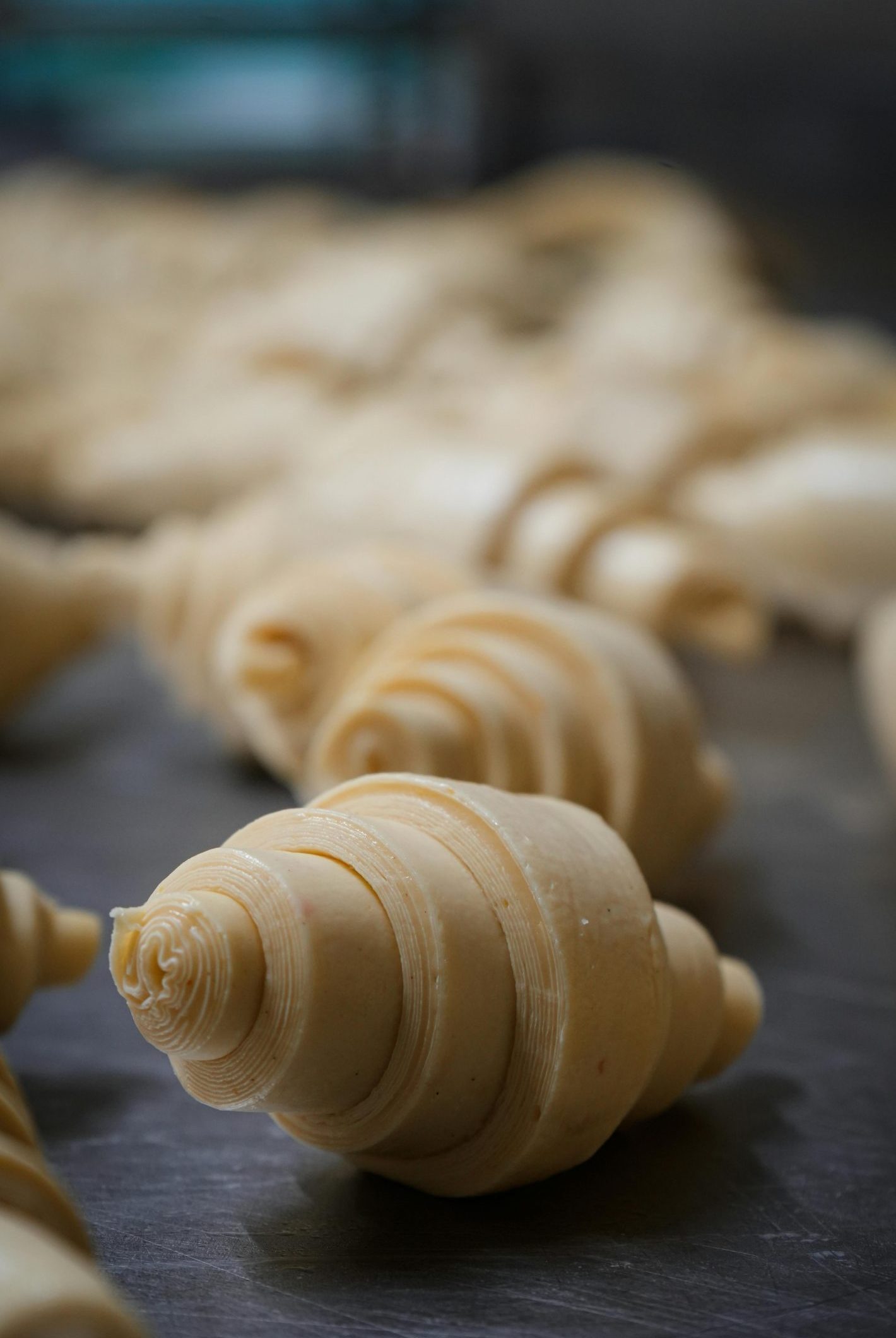 Close-up of uncooked croissant dough rolls prepared in a bakery kitchen.