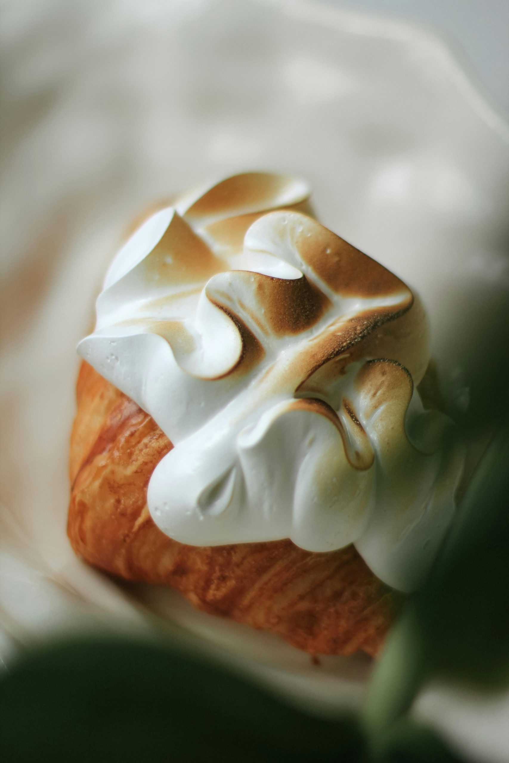 Close-up of a gourmet pastry with a beautifully toasted cream topping, ideal for food photography.